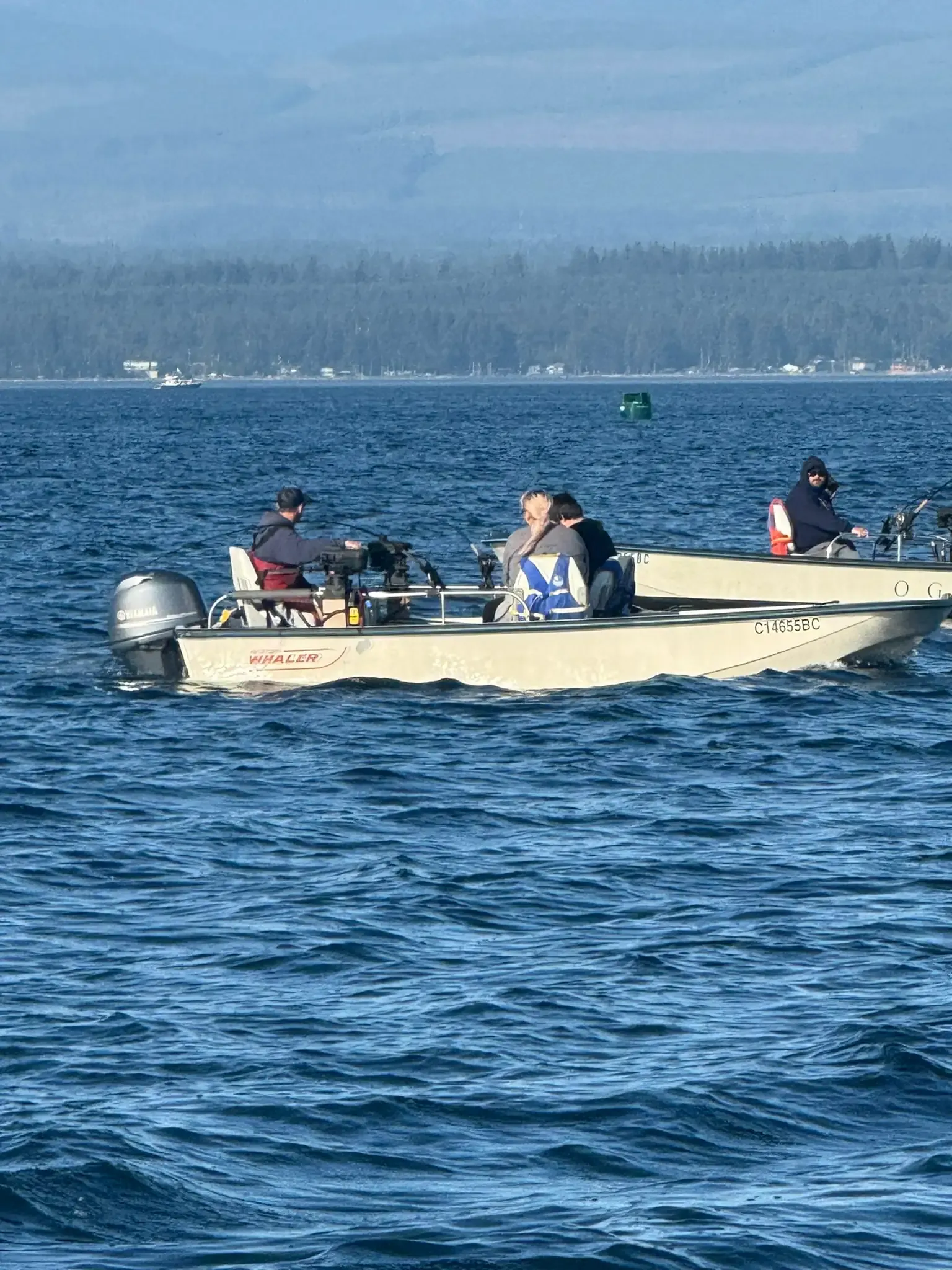Boston Whaler Montauk Fishing Action