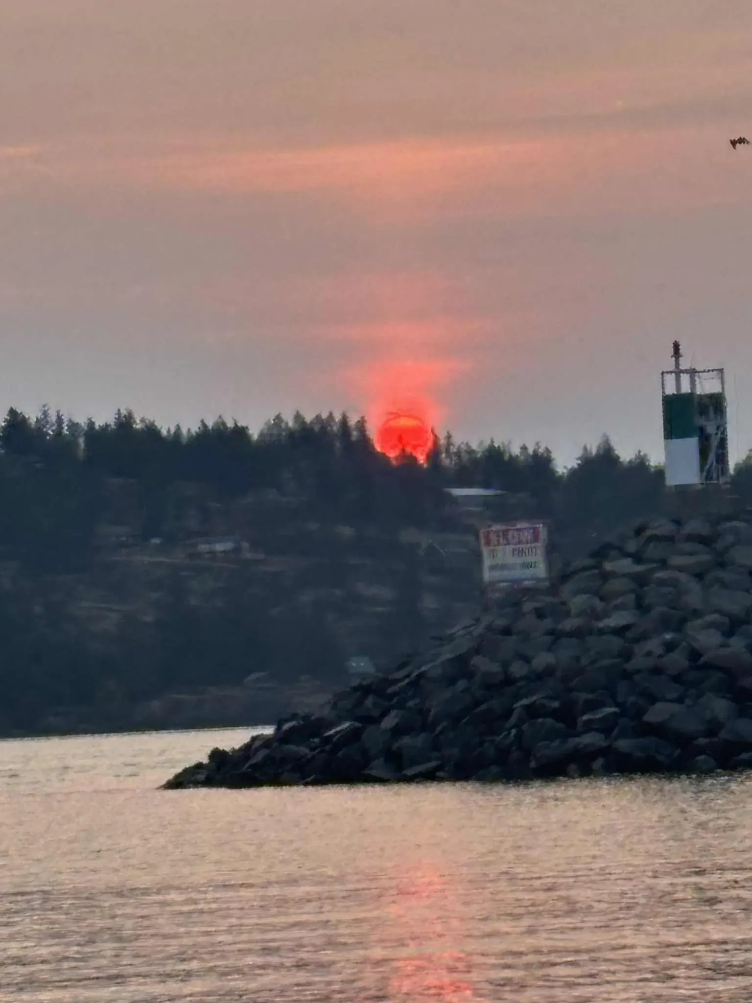 Campbell River Harbour at Sunset
