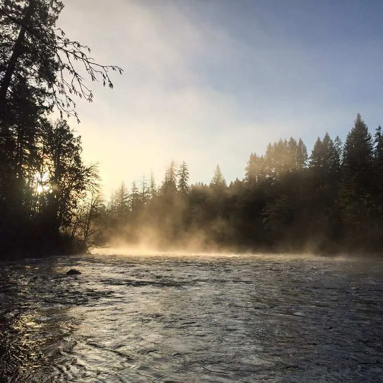 Campbell River Morning Mist at Sunrise