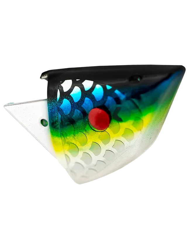 Rhys Davis Teaser Head