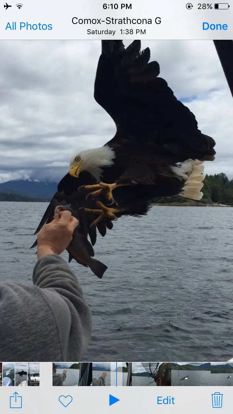 Fishing Storie Charters Boat View