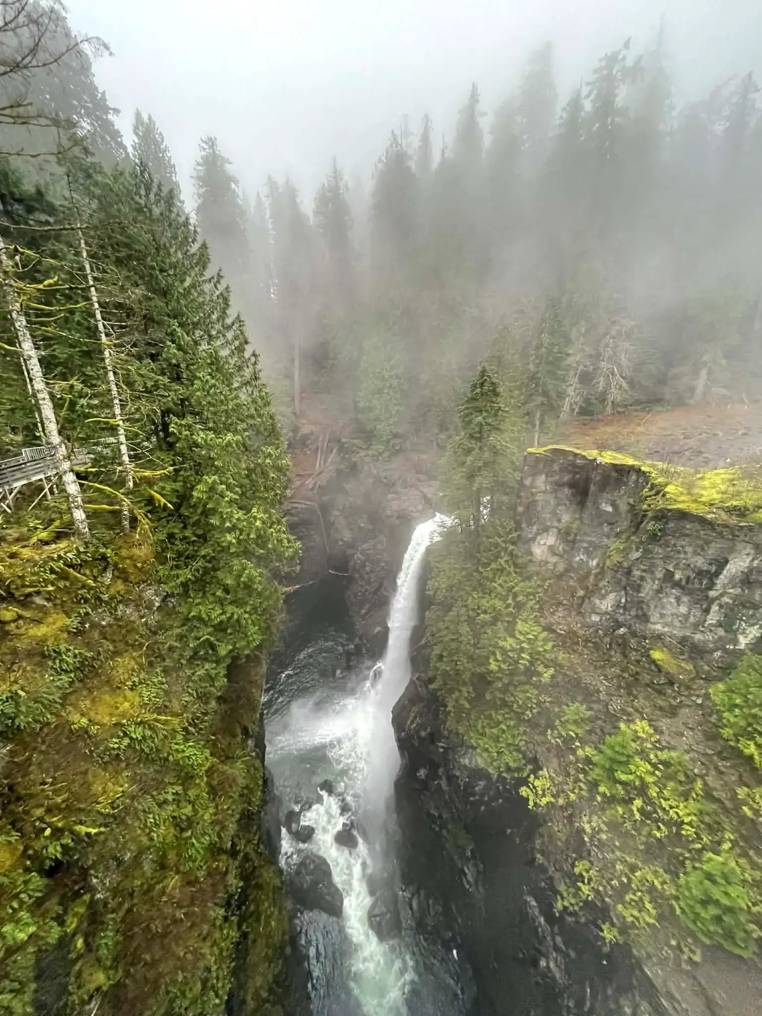 Elk Falls Canyon Misty Suspension Bridge